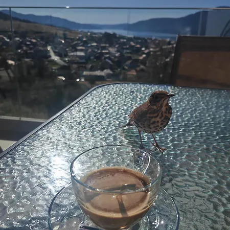 Paradise View Sarnitsa