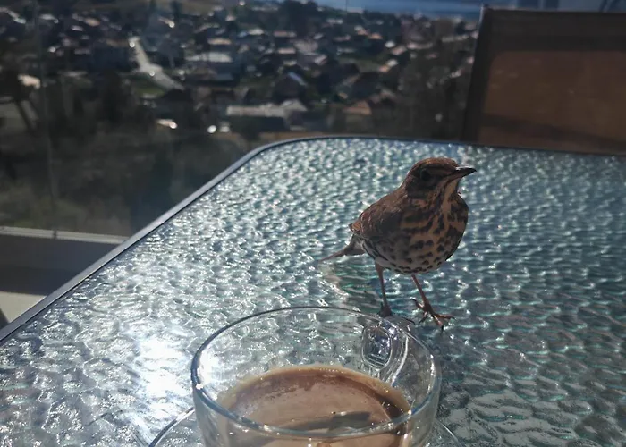 Paradise View Szarnica